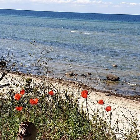 Ferienwohnung Storchenblick Zurow Buitenkant foto