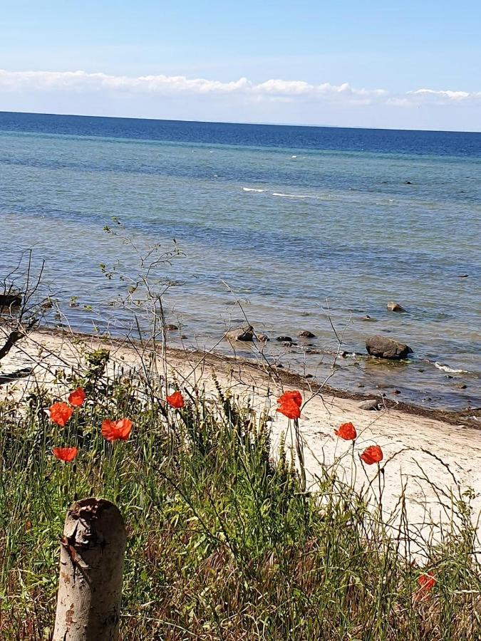 Ferienwohnung Storchenblick Zurow Buitenkant foto